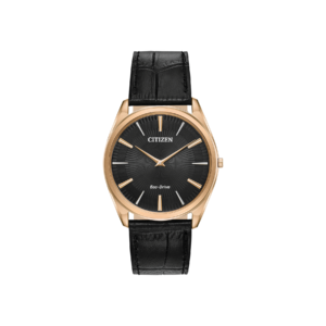 AR3073-06E / 4073/18 — Citizen Stiletto