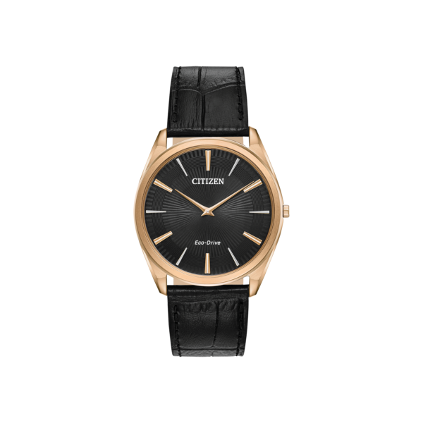 AR3073-06E / 4073/18 — Citizen Stiletto