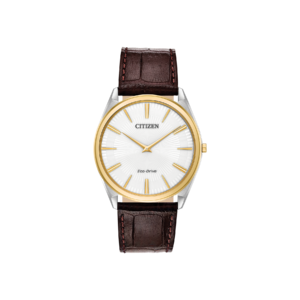 AR3074-03A / 54-048/19 — Citizen Stiletto