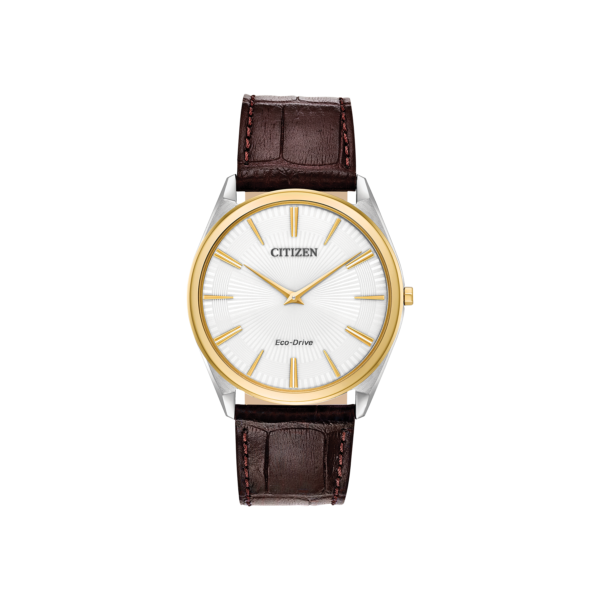 AR3074-03A / 54-048/19 — Citizen Stiletto