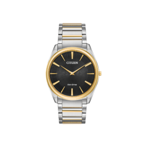 AR3074-54E / 4025/18 — Citizen Stiletto