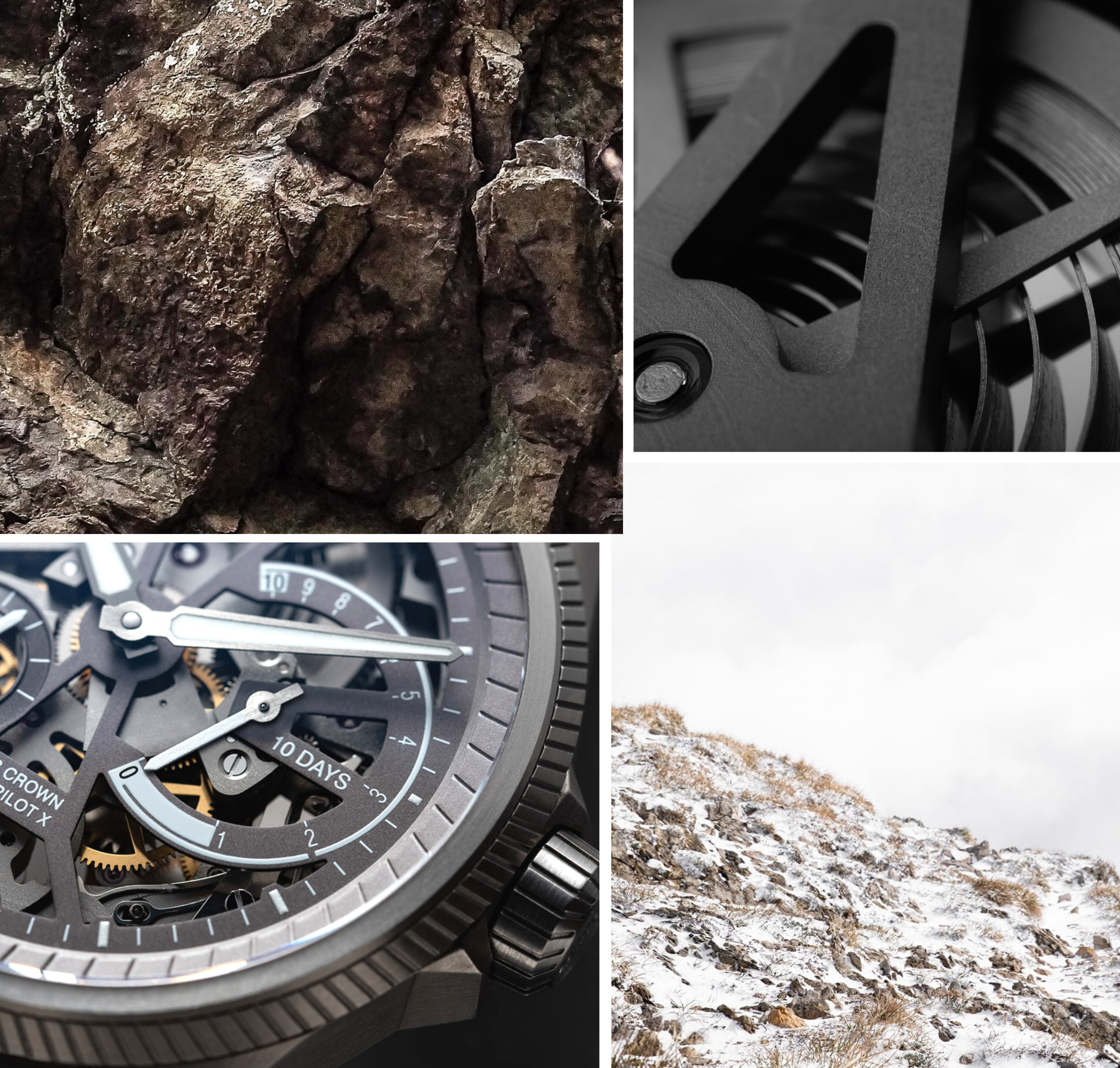 Untitled design - 2020-07-15T194234.084 oris